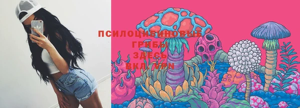 винт Армянск