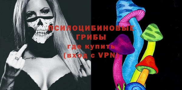 винт Армянск